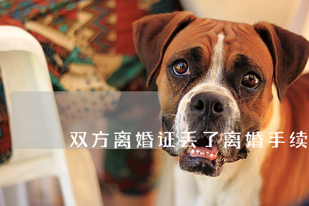 双方离婚证丢了离婚手续怎么办