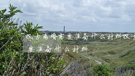 双方离婚需要准备什么材料(双方协议离婚需要准备什么材料)