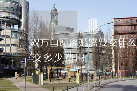 双方自愿离婚需要交什么费用(协议离婚需要交多少费用)