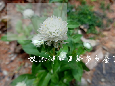 双证律师年薪多少(全国双证律师人数)