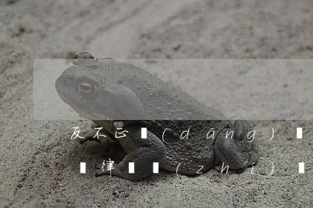 反不正當(dāng)競爭案件可以請律師嗎(律師執(zhí)業(yè)不正當(dāng)競爭行為)