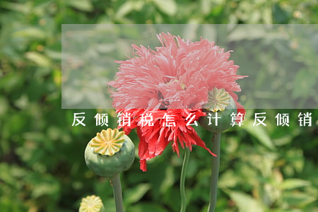 反倾销税怎么计算（反倾销税的征收条件）
