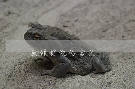 反倾销税的含义