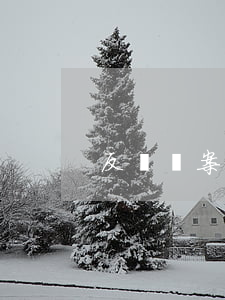 反壟斷案例