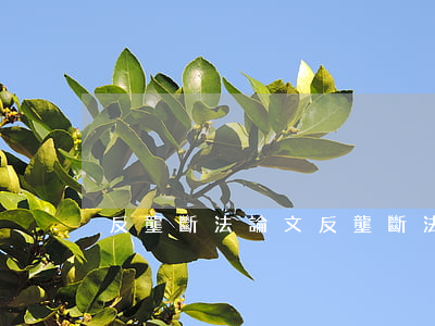 反壟斷法論文(反壟斷法論文題目推薦) 反壟斷法論文(反壟斷法論文題目推薦)