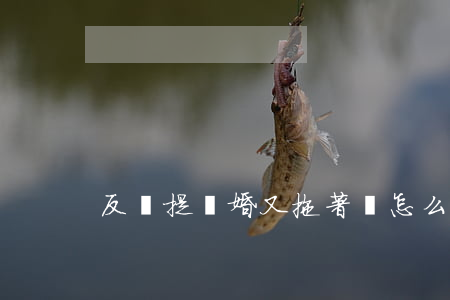 反復提離婚又拖著該怎么辦
