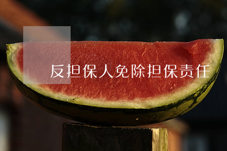 反担保人免除担保责任
