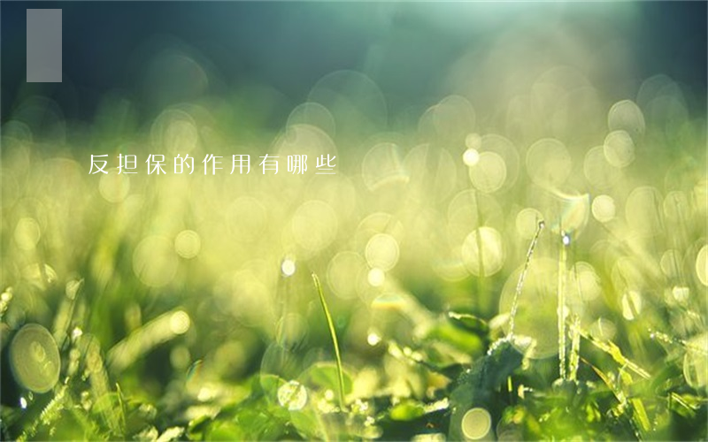 反担保的作用有哪些