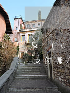 反擔(dān)保人負(fù)責(zé)支付哪方面的擔(dān)保