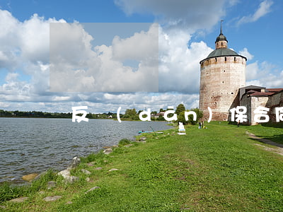 反擔(dān)保合同