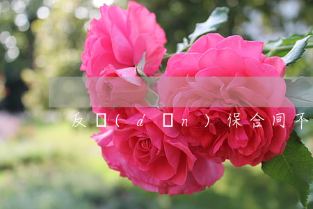 反擔(dān)保合同不成立的原因