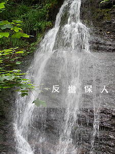 反擔保人是否享有抗辯權與追償權