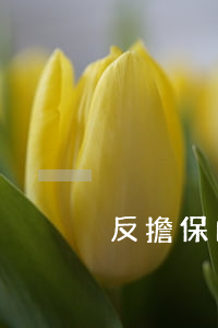 反擔保的作用有哪些