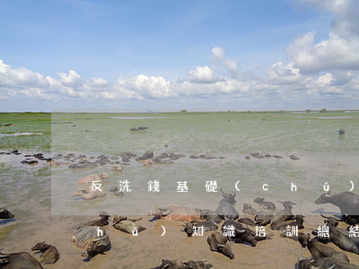 反洗錢基礎(chǔ)知識(反洗錢基礎(chǔ)知識培訓總結(jié))