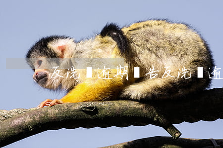 反洗錢逾期報告 反洗錢逾期報告范文