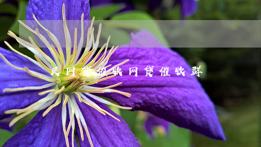 反网贷催收,网贷催收群 反网贷催收,网贷催收群