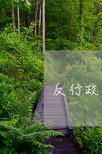 反行政垄断行为的行政法思考