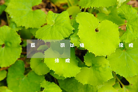 反訴狀可以快遞郵給法院嗎(反訴狀可以快遞郵給法院嗎)