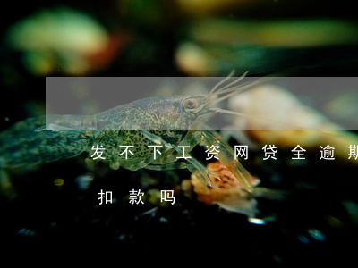 发不下工资网贷全逾期(网贷逾期发工资立即扣款吗)