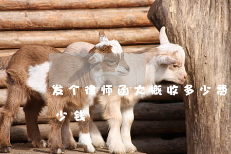 发个律师函大概收多少费用(律师函费用要多少钱)
