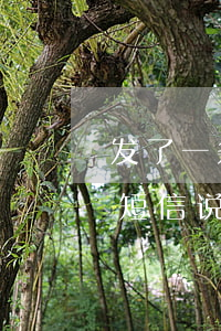 发了一条短信说信用卡逾期怎么办(发了一条短信说信用卡逾期怎么办呢)