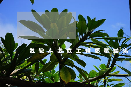 发包人造成工程质量缺陷需承担责任情况