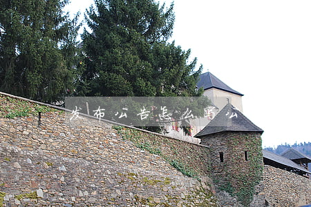 发布公告怎么写(公告应该怎么写)