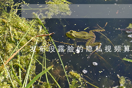 发布没露脸的隐私视频算犯法吗