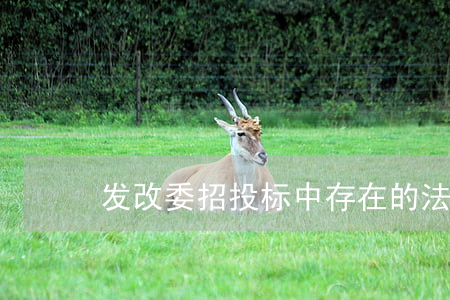 发改委招投标中存在的法律问题