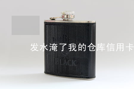 发水淹了我的仓库信用卡还不上-