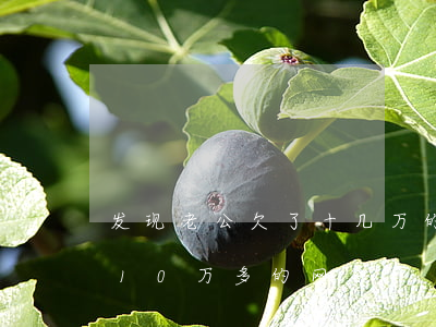发现老公欠了十几万的网贷怎么办(老公欠了10万多的网贷)