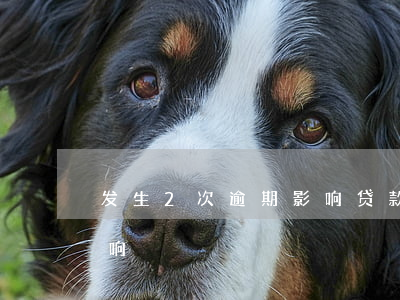 发生2次逾期影响贷款吗(逾期2次有哪些影响)