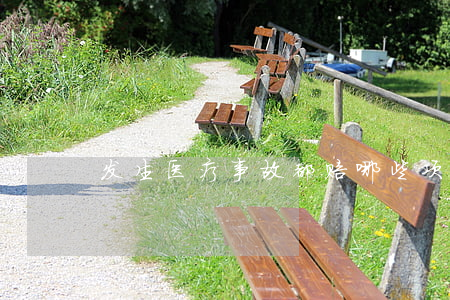 发生医疗事故都赔哪些项目