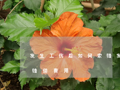 发生工伤后如何索赔,发生工伤可以索要哪些赔偿费用