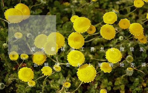 发生车祸误工费怎么赔偿(发生车祸误工费怎么赔偿 会去上班的地方调查吗)
