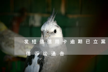 发短信信用卡逾期已立案（信用卡逾期收到短信诉讼通告）