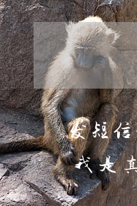 发短信说欠网贷不还(欠网贷发短信说要起诉我是真的吗)
