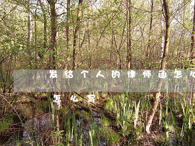 发给个人的律师函怎么写(发给个人的律师函怎么写)