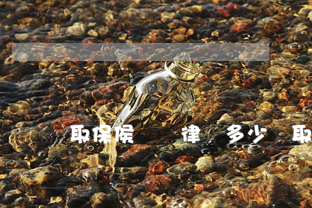 取保侯審請律師多少錢(取保候審律師的收費標準)