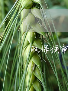 取保候审人马上能出来吗
