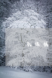 取保候审冻结钱吗