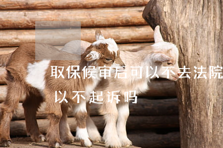 取保候审后可以不去法院应诉吗(取保候审可以不起诉吗)
