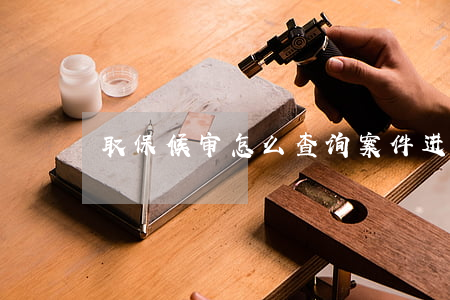 取保候审怎么查询案件进展