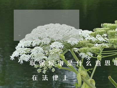 取保候审是什么意思(取保候审是什么意思啊在法律上)