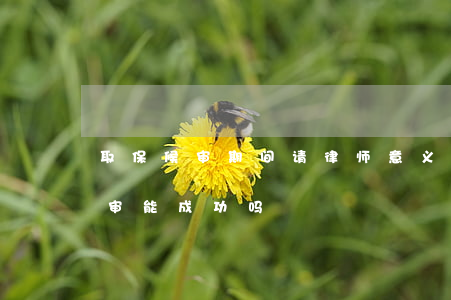 取保候审期间请律师意义大吗(律师去取保候审能成功吗)