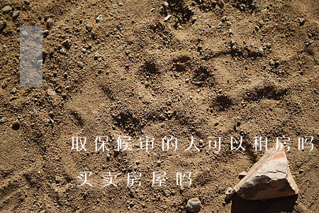 取保候审的人可以租房吗(取保候审期间可以买卖房屋吗)