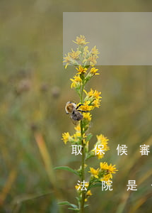 取保候審別人起訴你怎么辦(取保案件起訴到法院是否要解除取保候審)
