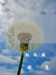 取保候審可以請律師辯護嗎(取保候審期間請律師意義大嗎)
