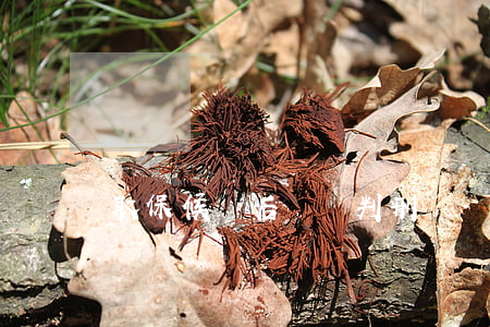 取保候審后還會判刑嗎