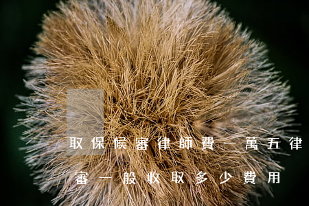 取保候審律師費一萬五(律師幫忙辦理取保候審一般收取多少費用)